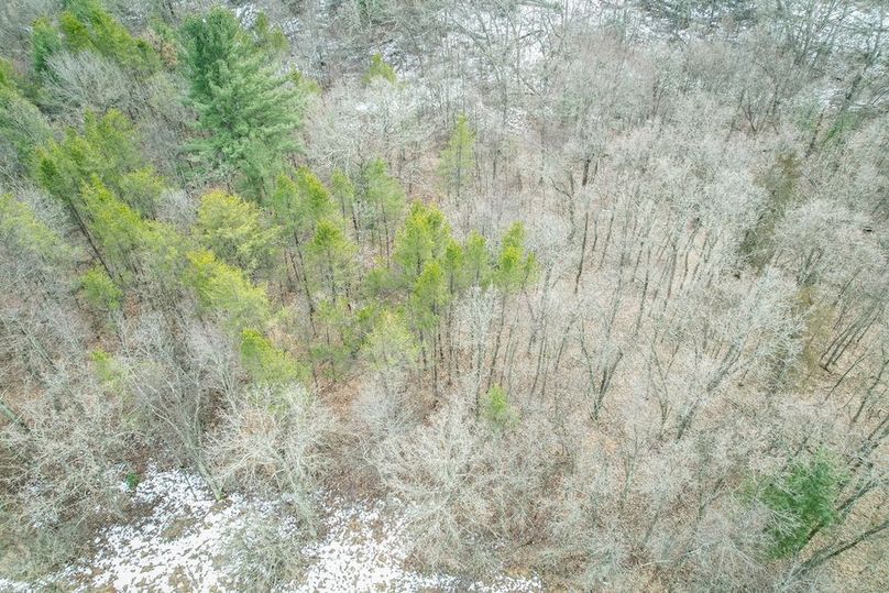 Adams 10.06 Johnson-63