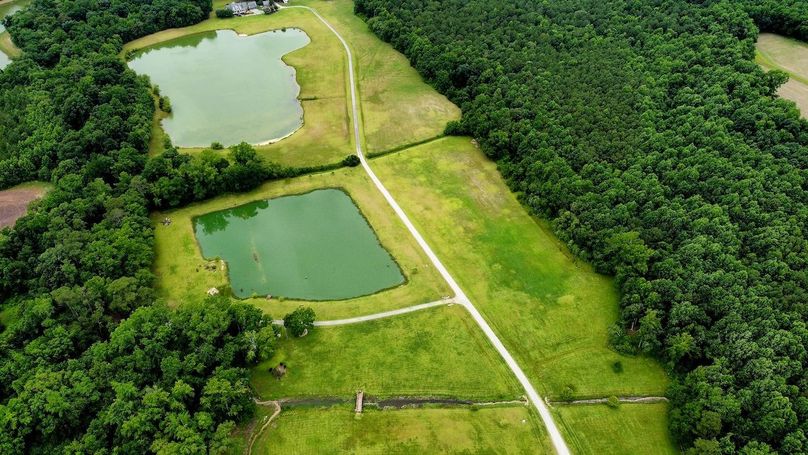 dji_fly_20250608_133320_458_1749404038418_photo_optimized