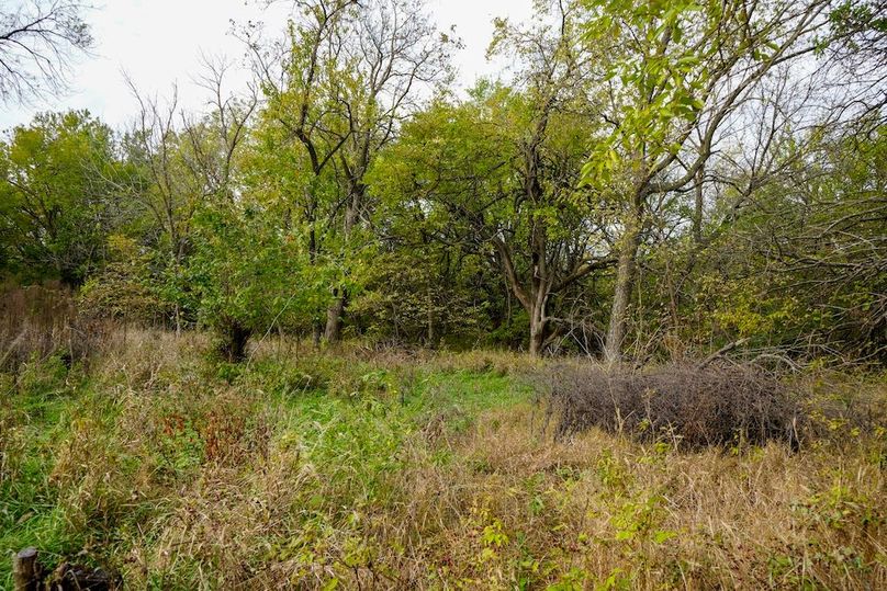 Dickinson Co, 154.5_061