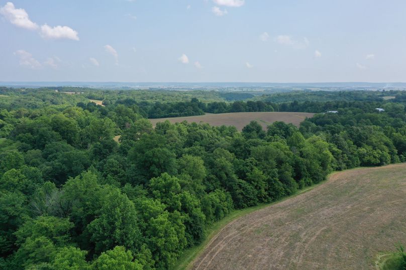 DJI_0345