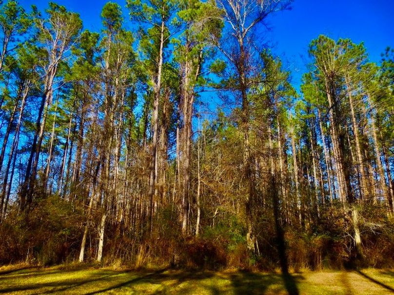 84275740-DE92-4C91-A2F0-E60F9678485D_1_105_c