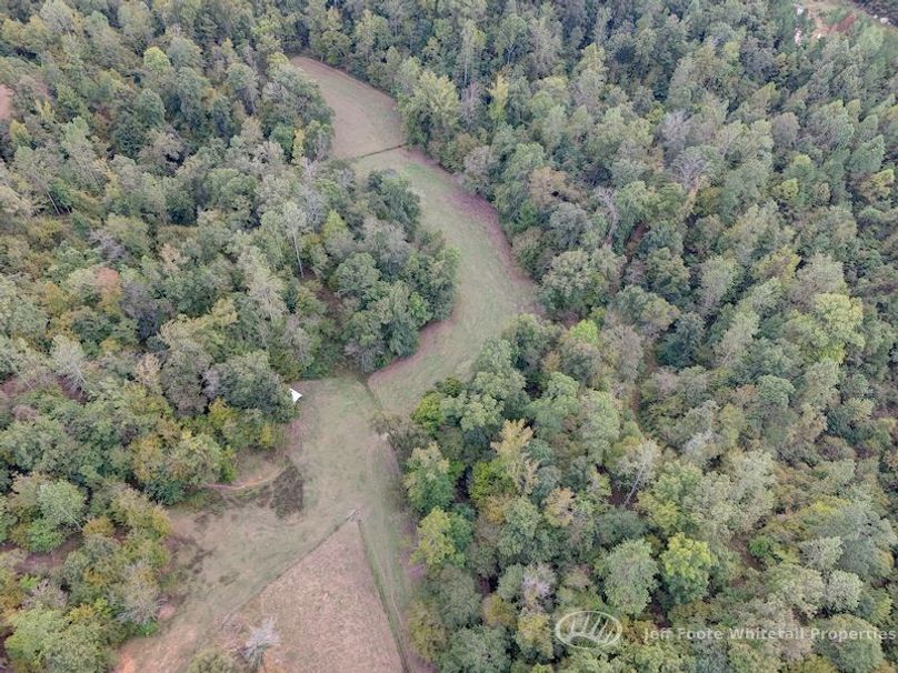 Warren Co - 45.5 - Bockman-85