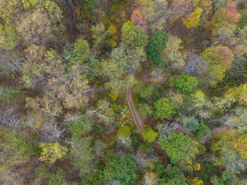 DJI_20251015103313_0032_D