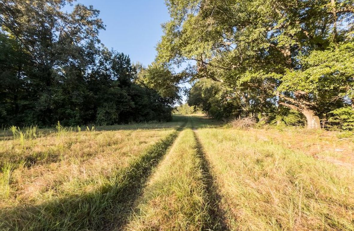 Hinds Co - 78 - Newman-06