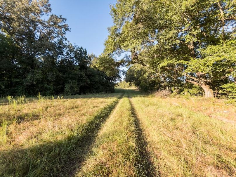 Hinds Co - 78 - Newman-06