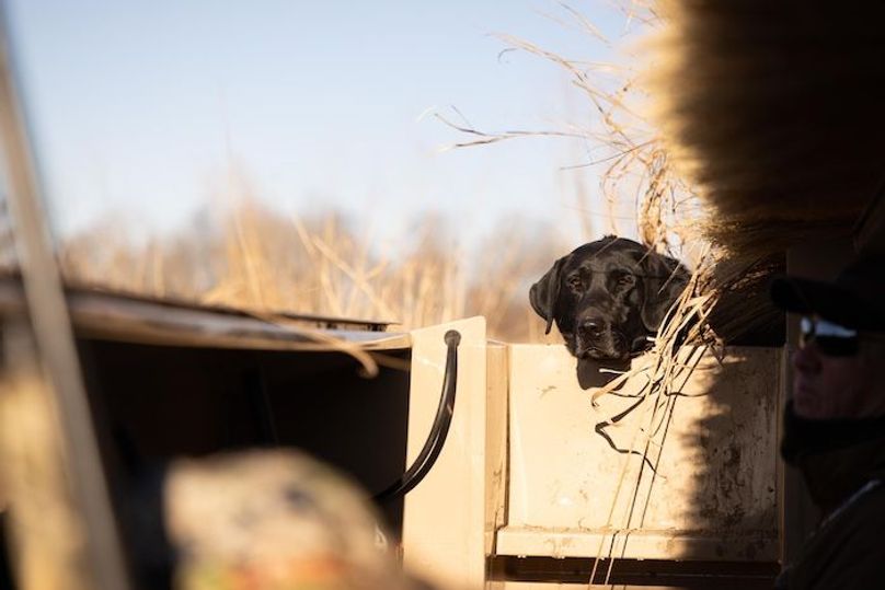 Neosho Duck Property-54