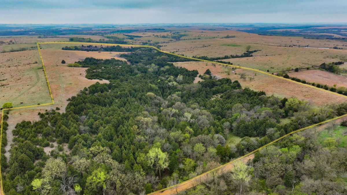 Secluded Hunting Pasture in North Central Kansas Whitetail Properties