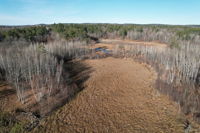 dji_fly_20231113_100822_288_1699892023545_photo