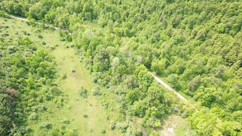 dji_fly_20250602_111656_273_1748877833207_photo
