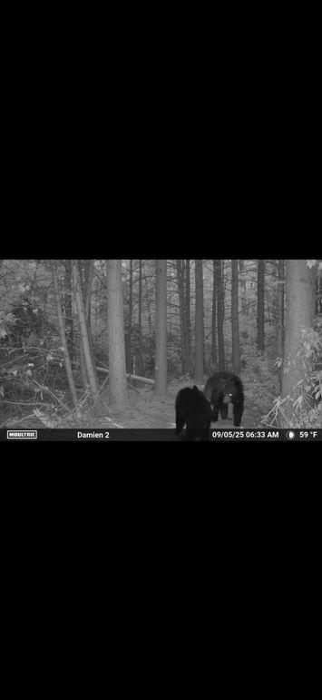 IMG_8739
