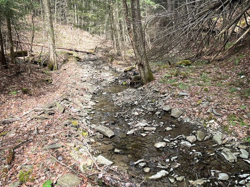 Tioga_76.65_Matyjas_Photos_19