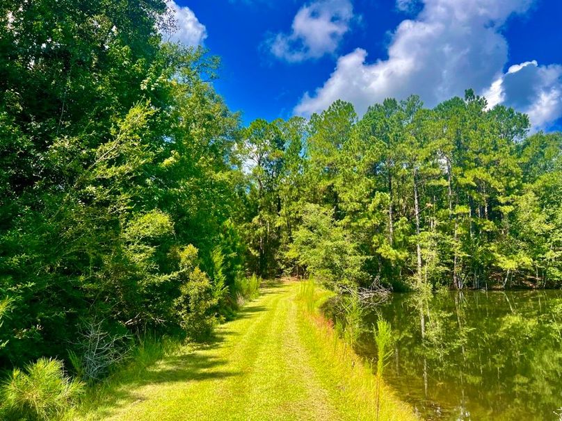 1561B55F-44AB-46D8-871D-7B1336538830_1_201_a