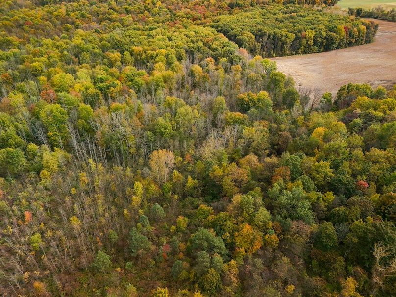 Wayne_29.09_BD_LandParcel_12