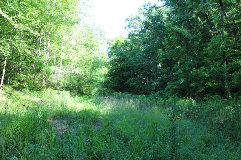011 small field in the main valley leading to the east