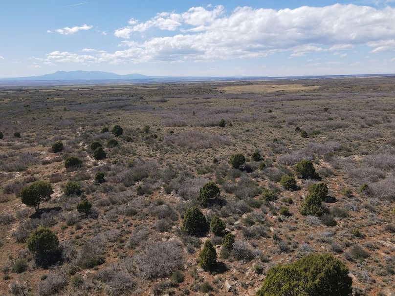 DJI_0001