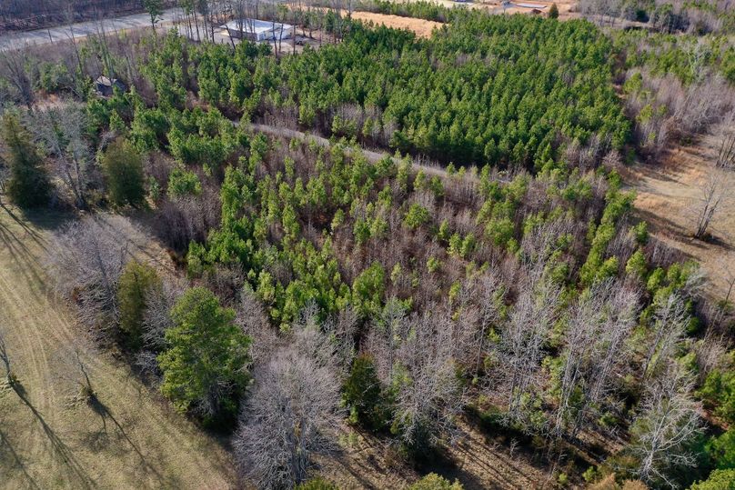 DJI_0933