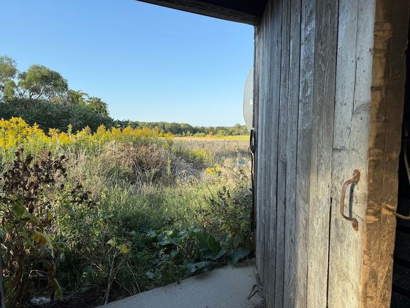 Copy of Wood Tract 2 Photo 15