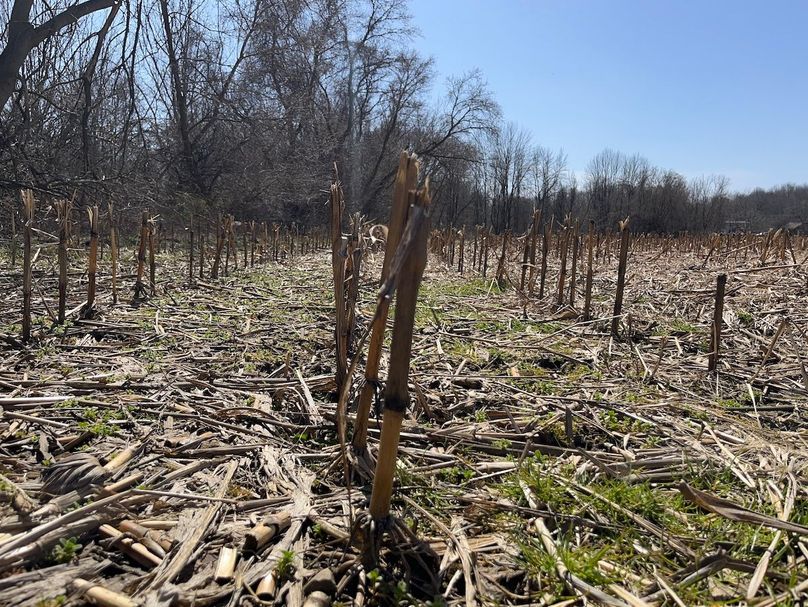 Ontario_96.7_Kiikka Photo 46