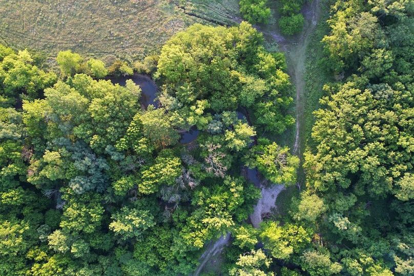 DJI_0595