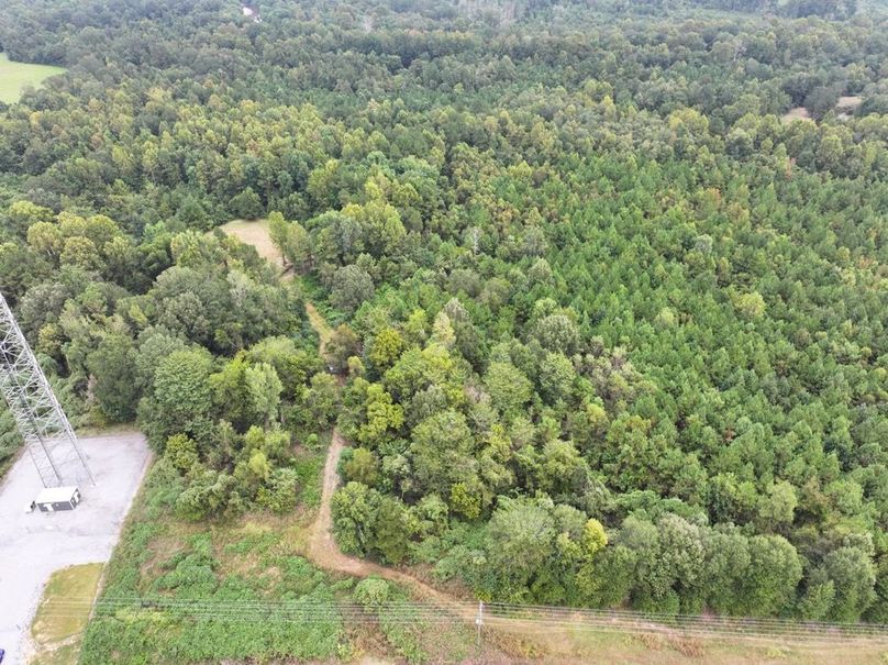 dji_fly_20250924_090746_0503_1758726296727_photo