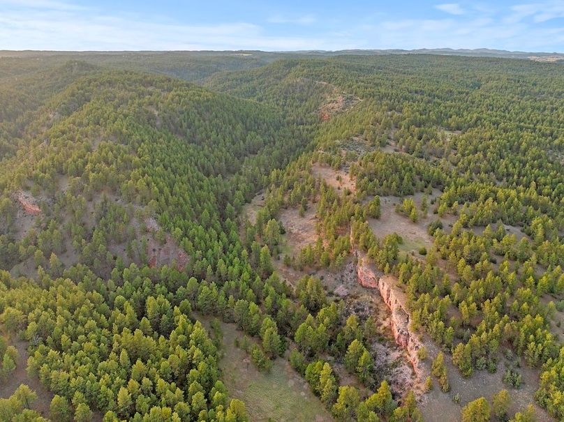 19-DJI_20250507185035_0767_D