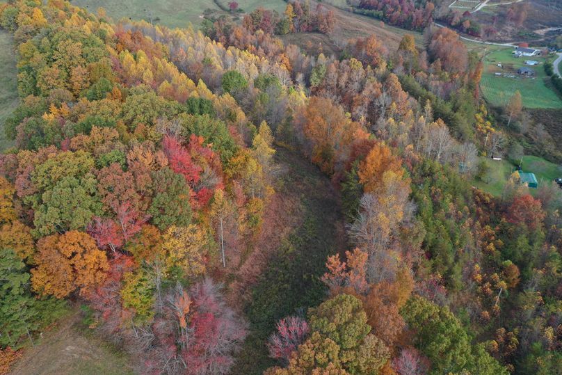 026 low elevation drone shot of the food plot area near the south boundary