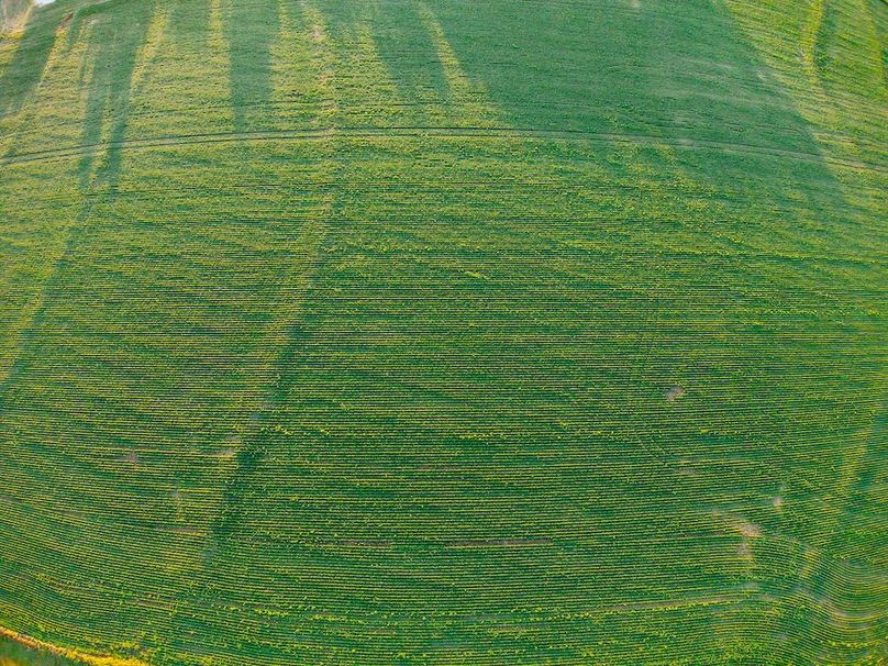 DJI_20250816071013_0735_D