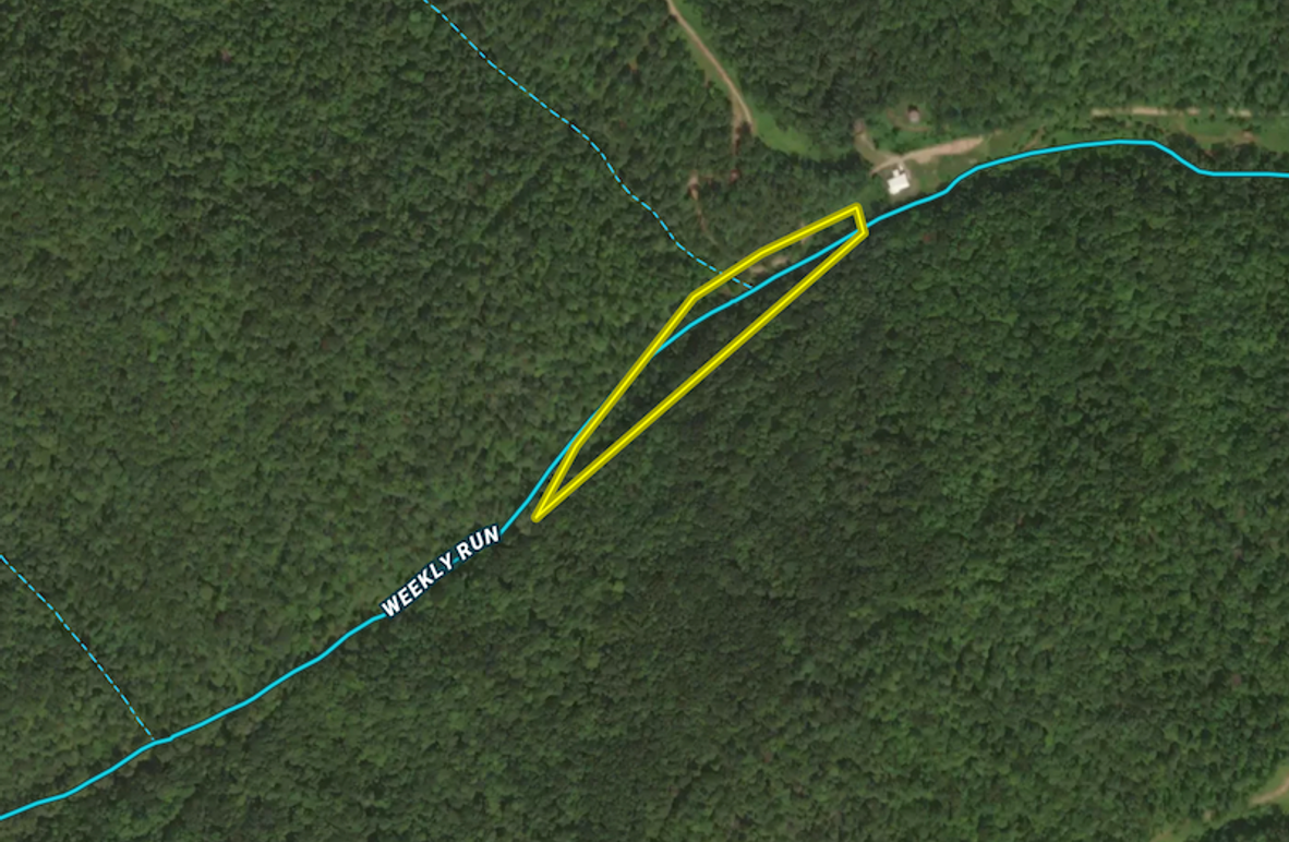 Screen Shot 2025-06-04 at 7.13.13 AM