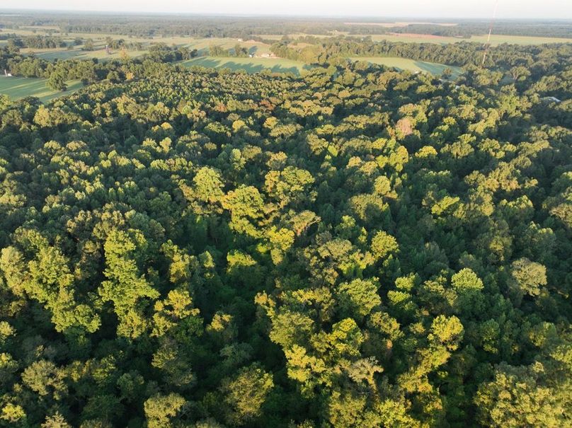 dji_fly_20250909_072526_186_1757426931282_photo