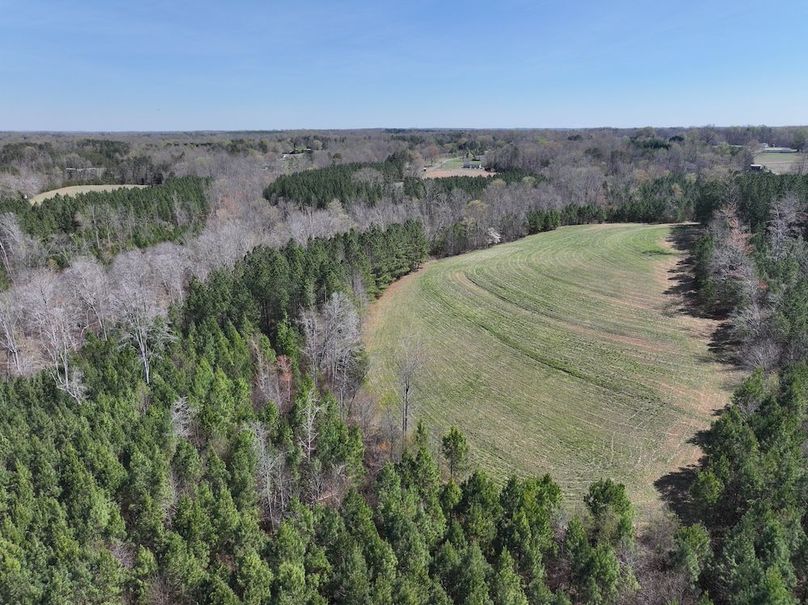 dji_fly_20260325_115732_0651_1774539291877_photo