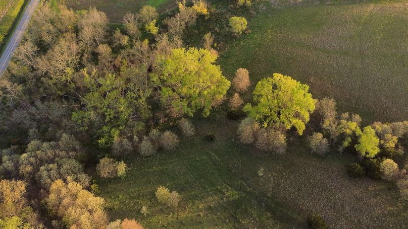 MONTGOMERY CO IA. 156.78_48