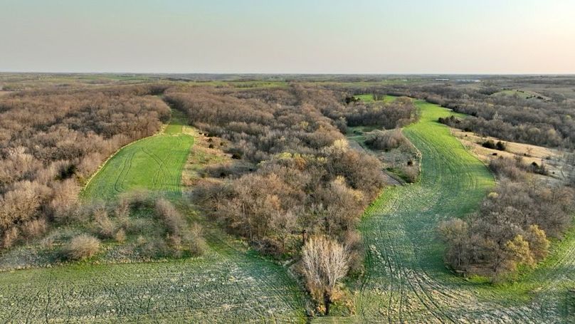 DJI_0289