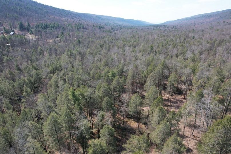 dji_fly_20260330_124922_563_1775656592994_photo