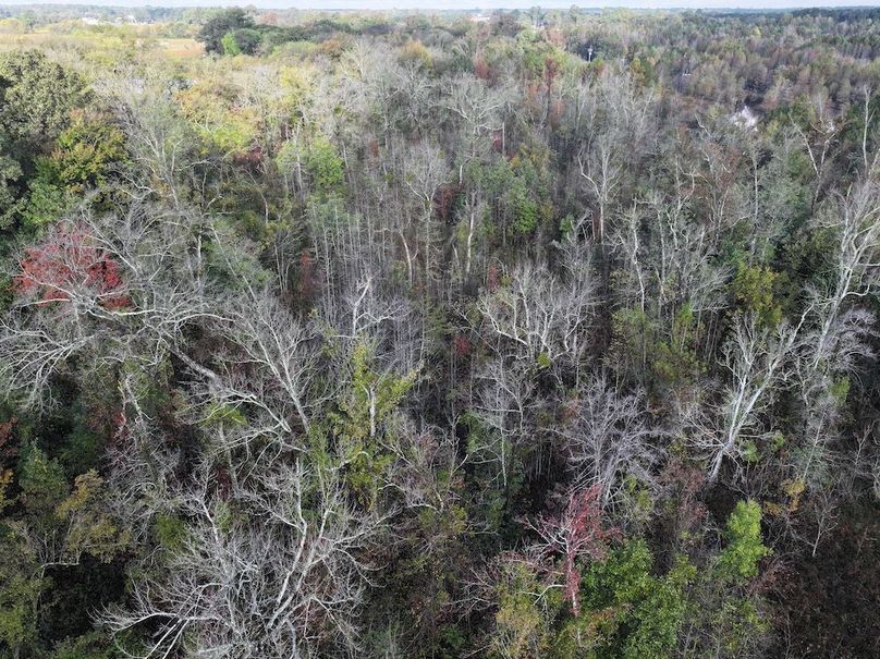 DJI_20251018095423_0133_D