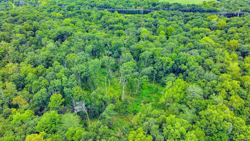 DJI_20240821110750_0013_D