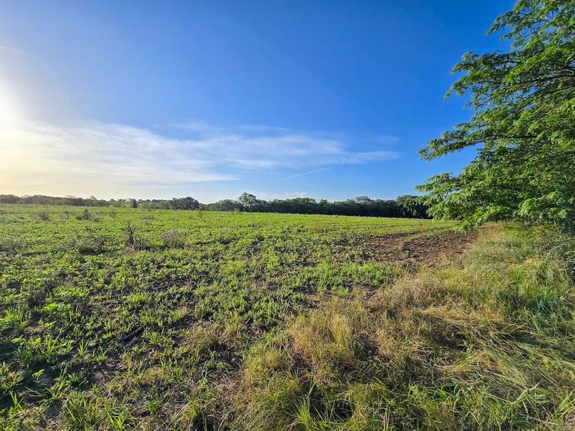 Copy of 20250729_074233