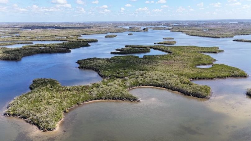 17.17ac, Citrus, Josiah Ronco25