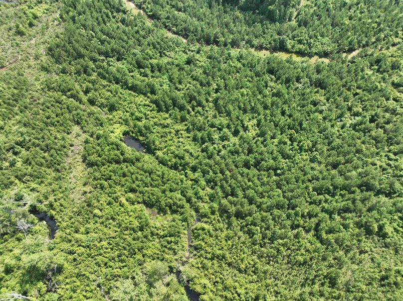 dji_fly_20230516_110046_116_1684333508101_photo