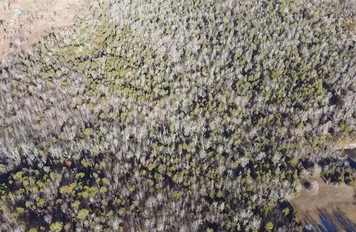 2024-02-06-09-03-02-897