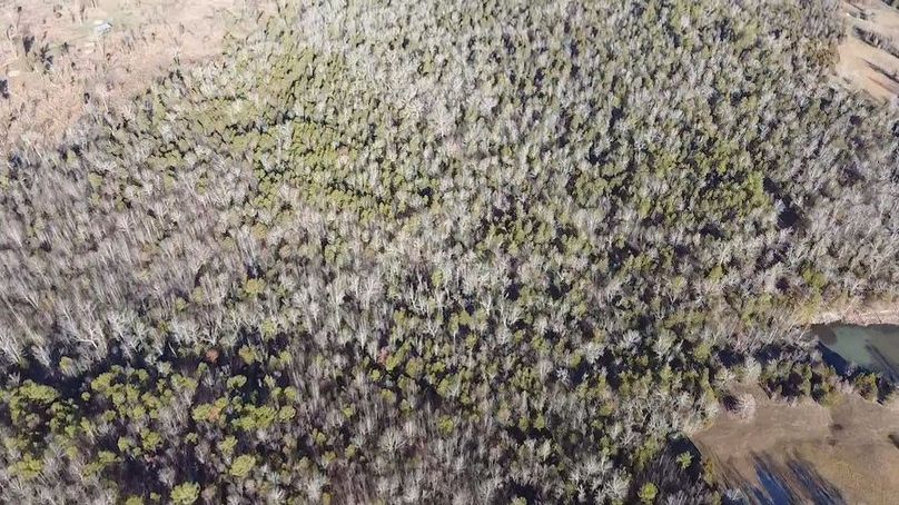 2024-02-06-09-03-02-897