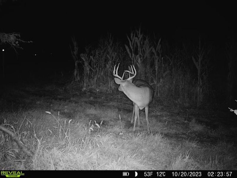 860322064829176-1-3-10202023022356-V-W1004359