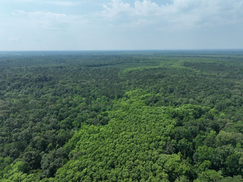 dji_fly_20230530_111412_131_1685483423217_photo