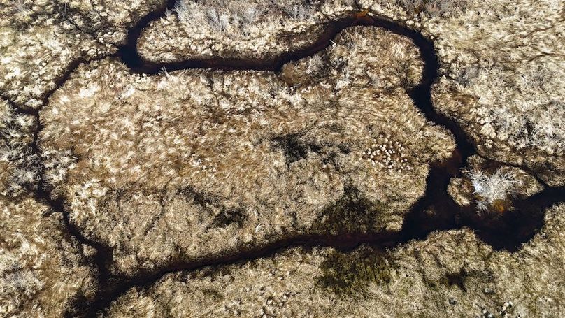 Oswego_8_Cannade_Photos_32