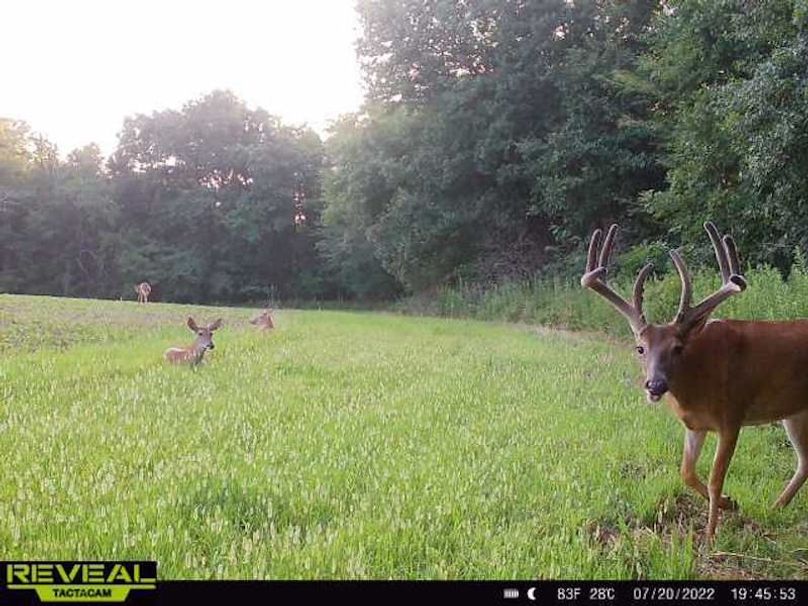 864049050001892-100-1-07202022194552-W1000154