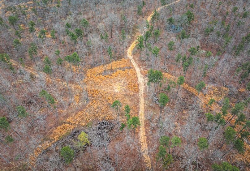 DJI_20250403120330_0566_D