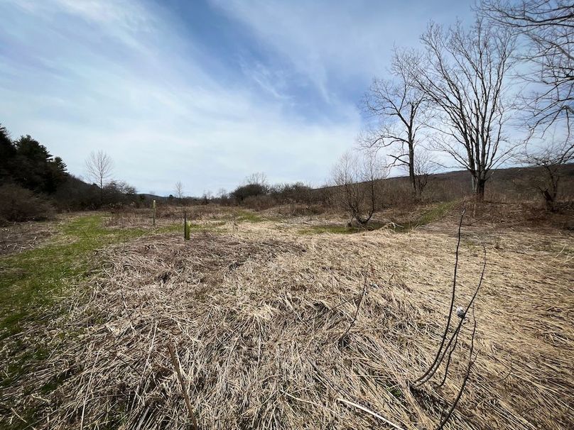 Tioga__NY_109.7_Burris_Photos_123