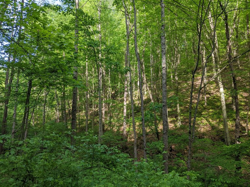 PXL_20230515_215430252