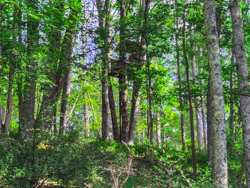 Lewis, WV 105 AC Miller-66