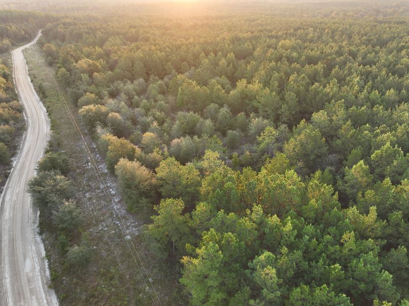 dji_fly_20230925_074048_735_1695642645390_photo