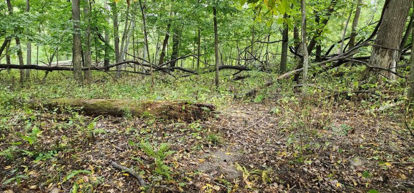 375663830_288329607275543_6583694870867649600_n